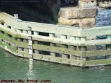 Water Depth Gauge, Fort Point Channel, Boston