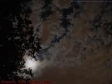 Full Harvest Moon Over Two Cloud Layers, Lynn, Mass.