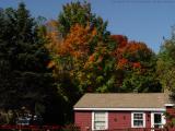 A Touch of Fall Foliage, Concord, Massachusetts