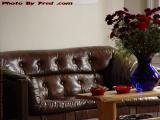 Warm Leather Couch and Roses, Medford, Massachusetts