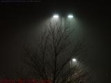 Bare Trees in Fog With Lights, North Shore Mall, Peabody