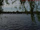 Sailing on the Charles, Esplanade Perspective, Boston