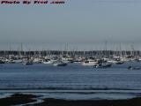 A Forest of Masts, Marblehead Harbor From Devereux Beach