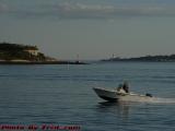 Bad Dog Out For a Ride, Portland Harbor, Maine