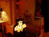 Dracula Getting Ready to Party, Medford, Massachusetts