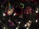 Christmas Tree Ornaments in Available Light, Medford