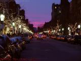 Newbury Street Sunset With Lighted Trees, Boston