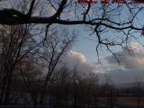 Bare Trees and Winter Clouds at Sunset, Groveland, NY