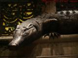 Alligator Statue, Mandalay Bay Shark Reef, Las Vegas