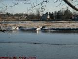 Ice Rime at Low Tide on the Saugus River, Saugus, Mass.