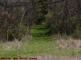 Spring Freshening The Path Uphill, Groveland, New York