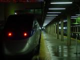 Acela Express Waiting For Departure, South Station, Boston