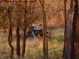 Tired Machinery in Autumn Sunset Light, Groveland, NY