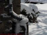 Rain Barrel in Snow, Dell Court, Lynn, Massachusetts