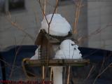 Unused Bird Feeder in Snow, Groveland, New York