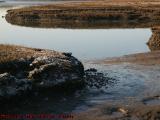 Low Tide Saugus River With Ice Rime, Lynn, Massachusetts