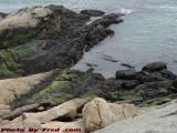 Rocks, Seaweed and Algae, Low Tide Colors, Gloucester