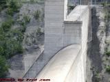 Hawk Cresting Over the Mount Morris Dam, Letchworth Park