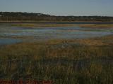Salt Marsh in Very High Tide, Saugus, Massachusetts