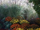 Fall Garden, Kendall Square, Cambridge, Massachusetts