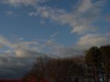 Sunlight Through Cloud Holes on Bare Trees, Saugus, Mass.