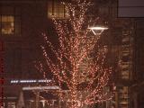 Holiday Lights in Falling Snow, Liberty Hotel, Boston