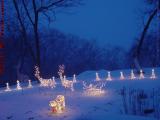 Holiday Lighting in Dusk Snow, Lynn, Massachusetts