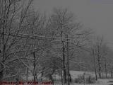A Study of Lines, Snow Storm, Groveland, New York
