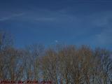 Spring Moon Over Trees, Recreation Road, Newton, Mass.