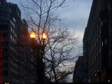 Dusk Streetlamps Under Cloudy Skies, Boylston Street