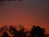 Sunset Fire Over Late Blooming Trees, Peabody, Mass.