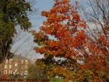 Fall Foliage, Clarendon Hill Area, Somerville, Mass.