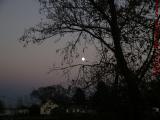 November Moon Rising Over Richardsons Farm, Peabody, Mass.