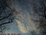 Winter Sky With Clouds and Bare Trees, Groveland, New York