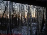 Icicle Wall, Viewed Through Screen, Groveland, New York