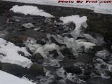 Flowing Water, Frozen, Elginwood Pond Outlet, Peabody