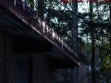 Icicles Catching Morning Sun, Harvard, Massachusetts
