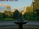 Fountain Study, Light Near Sunset, Boston Public Garden