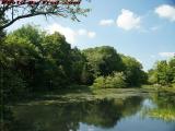 Sunny and Hot at Elginwood Pond, Peabody, Massachusetts