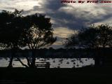 Sunset Clouds Over Marblehead Harbor, Chandler Hovey Park