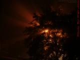 Street Lamp Beaming Into Fog, Saugus, Massachusetts