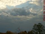 Afternoon Cloud Study Over Fall Trees, Peabody, Mass.