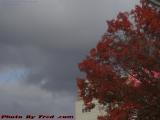 Fall Foliage Under Stormy Skies, Lynn, Massachusetts