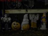 Halloween People From Under the Porch in Available Light