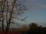 Late Autumn Day's Light in the Genesee Valley, New York