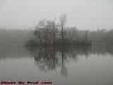 Island of Bare Trees, Clouds & Fog, Devil's Dishfull Pond