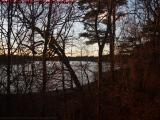 Sunset Light on Tangled Trees, Suntaug Lake, Peabody