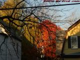 Warm December Morning Sunlight, Brookings Street, Medford