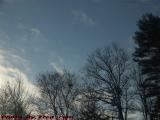 Bare Trees on Cold December Sky, Peabody, Massachusetts