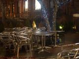 Tangled Tables in Available Light, Newbury Street, Boston